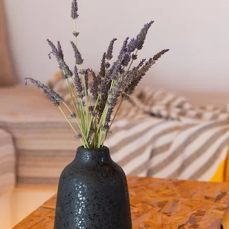 Tatil Evi Artemaki House Artemonas