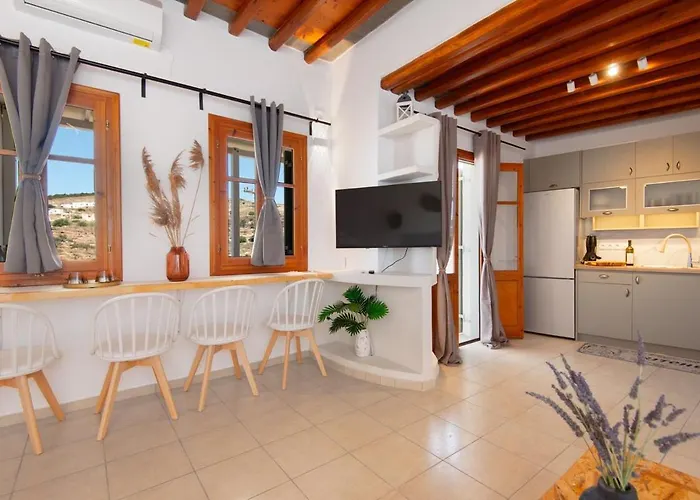 Artemaki House * Артемон