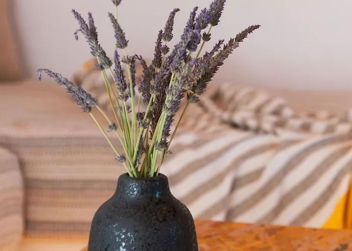 Ferienhaus Artemaki House Artemonas